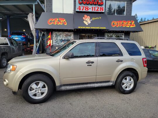 2010 Ford Escape XLT